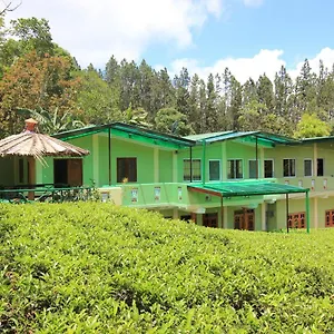Narra Maskeliya